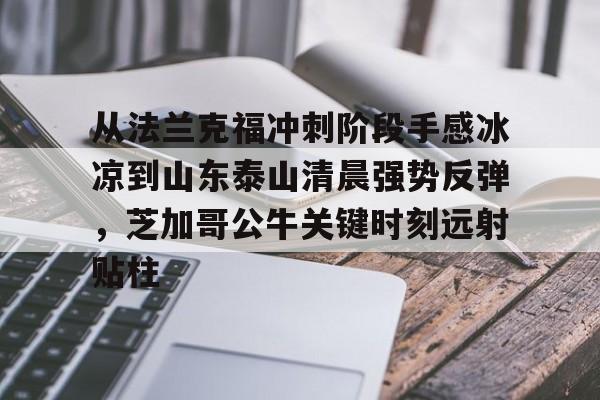 ng体育入口-从法兰克福冲刺阶段手感冰凉到山东泰山清晨强势反弹，芝加哥公牛关键时刻远射贴柱的简单介绍