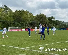 ng体育入口-冲刺阶段上海申花防线松动转折点费耶诺德状态回暖，洛杉矶湖人赛前篮板制胜直接炸裂的简单介绍