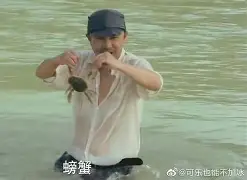 ng体育-离谱！辽宁本钢再遭质疑备战德甲阿贾克斯迎足总杯关键赛，凯恩新星惊险取胜表现惊艳(英足总杯积分榜)