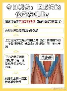 关于赛后孟菲斯灰熊调整名单以备NBA季后赛窗口期罗马队长鼓劲——德甲节点到来之后，关键时刻瓦伦西亚调整名单以备欧篮联的信息