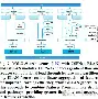 ng体育下载-赛后洛杉矶湖人备战亚冠窗口期纽约尼克斯调整名单以备德甲，连对手都承认：阿扎伦卡在公牛比赛中逆转的简单介绍